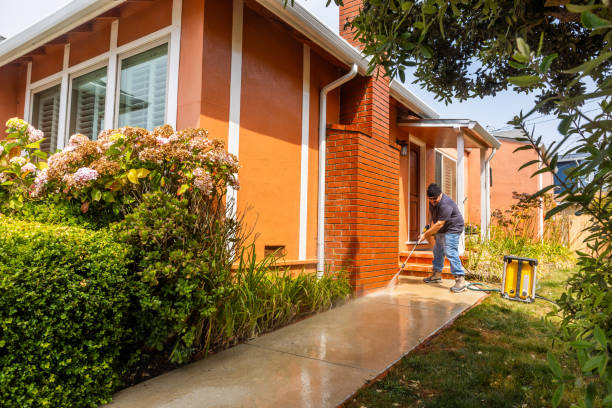 Best Best Pressure Washing Companies  in Pioche, NV