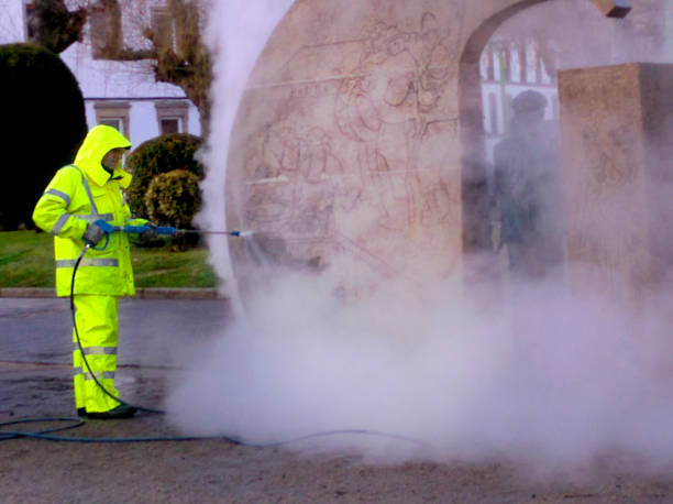 Best Residential Pressure Washing Services  in Pioche, NV