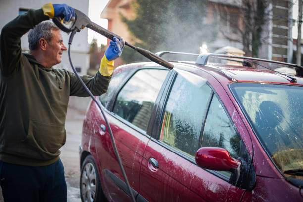 Best Roof Pressure Washing  in Pioche, NV