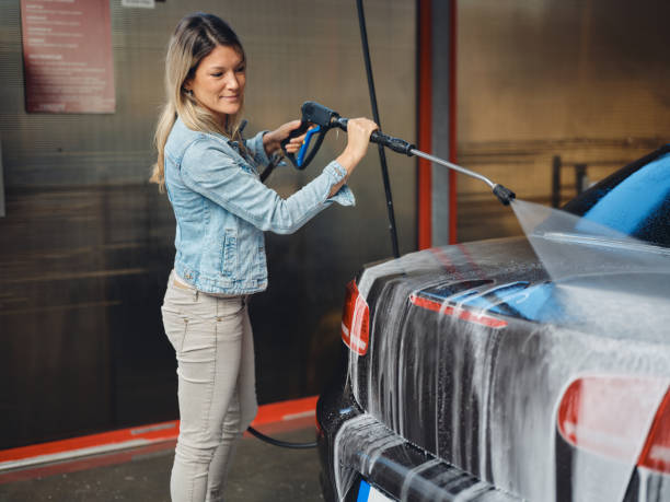 Best Roof Pressure Washing  in Pioche, NV